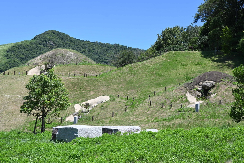 夏の善一田古墳公園写真①