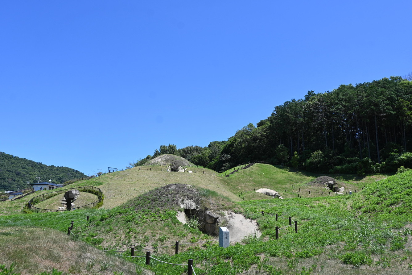 夏の善一田古墳公園写真②
