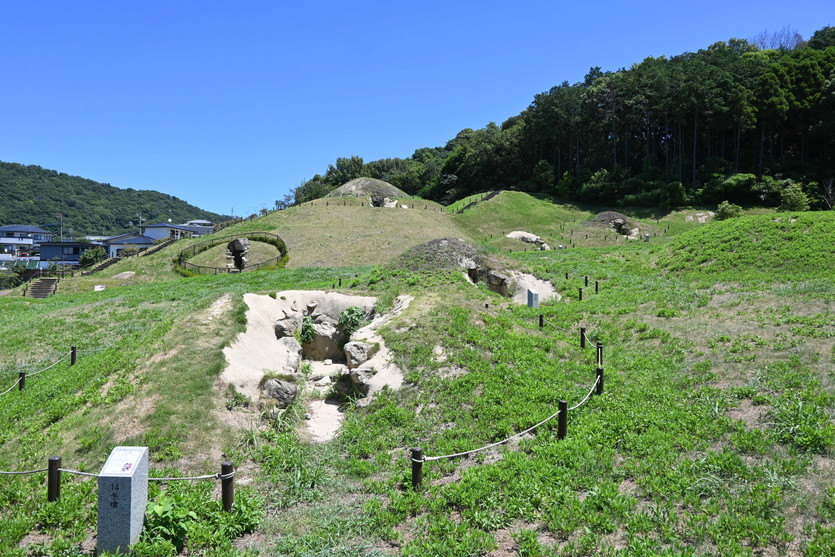夏の善一田古墳公園写真③