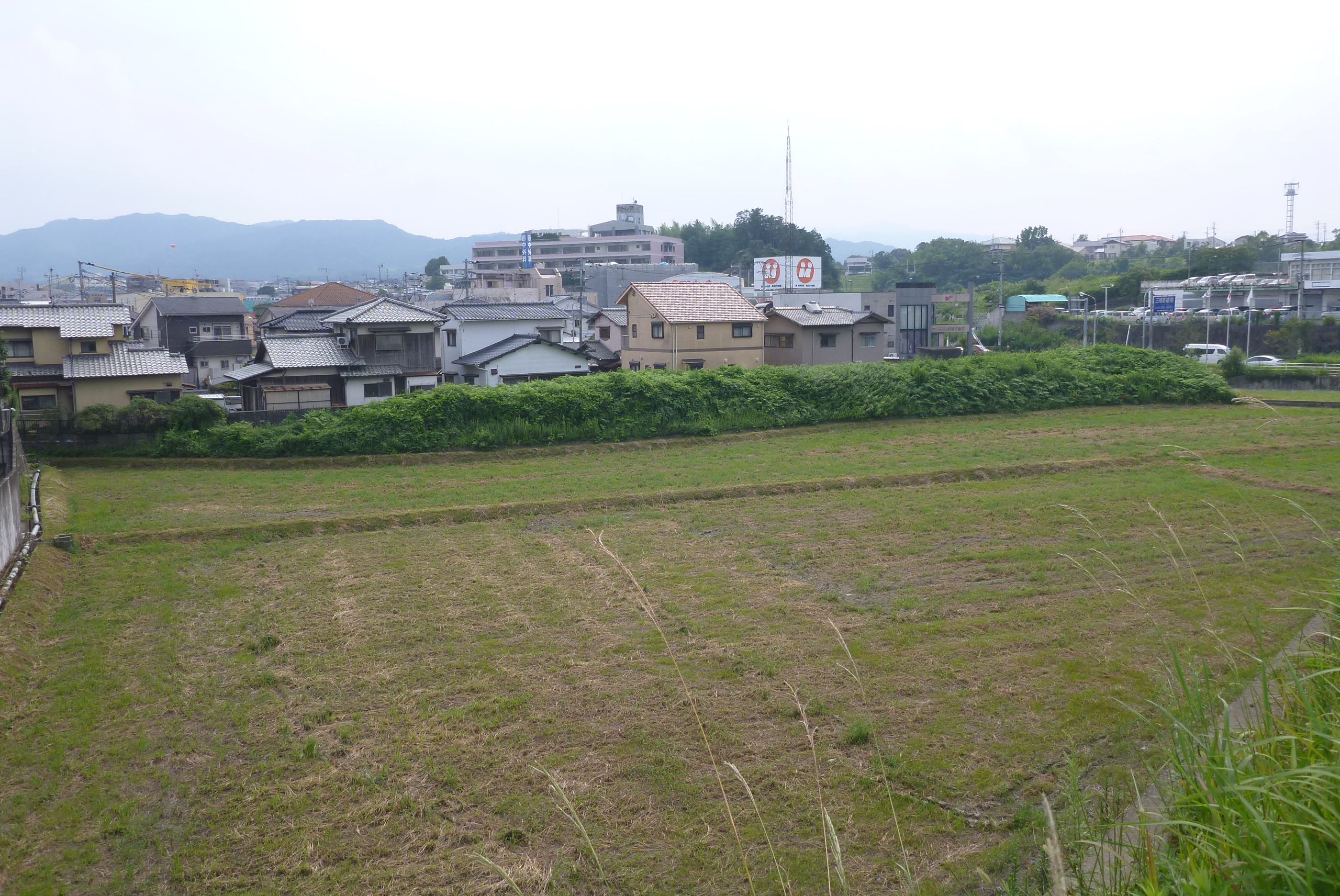 整備前の小水城跡①