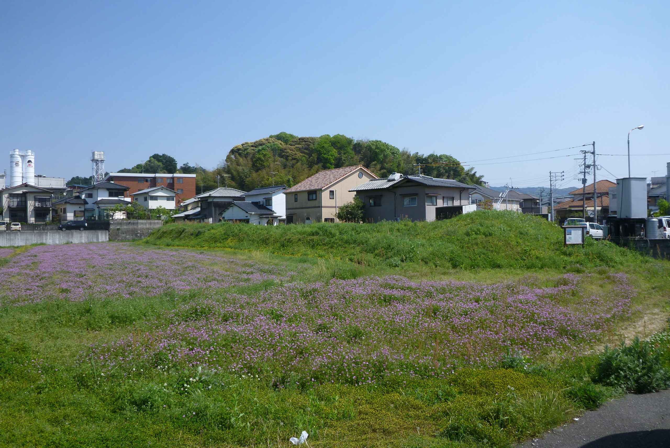 整備前の小水城跡②