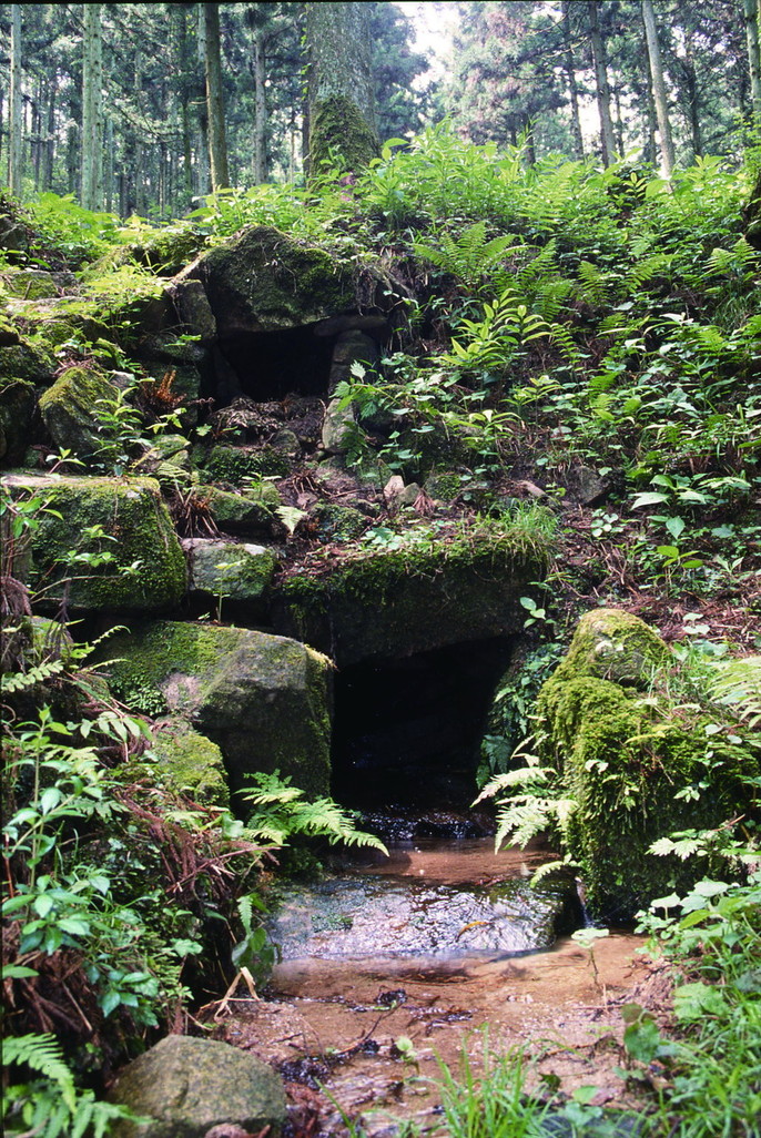 屯水写真