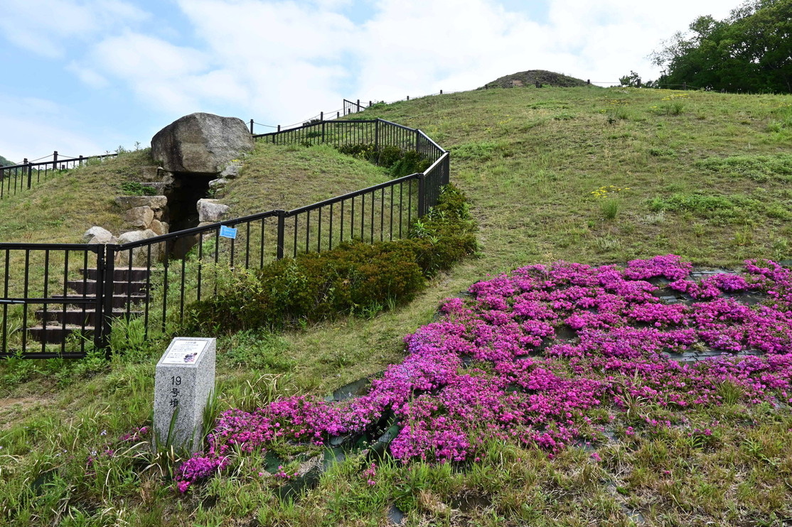 善一田16号墳の巨大な石室